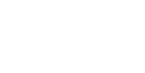 Directus: Een headless maatwerk website laten maken met Directus