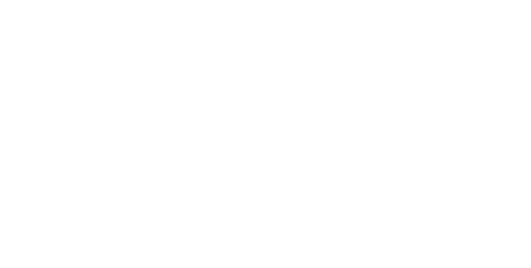 WordPress logo